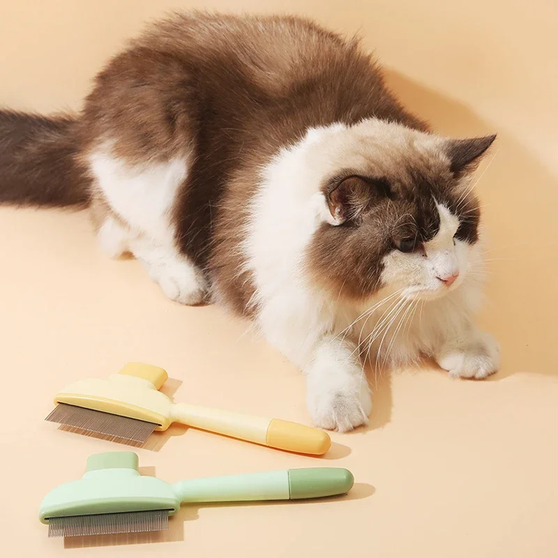 Sisir Perawatan Hewan Pelihara - Hair Care Is Self Care ulasan dan harga