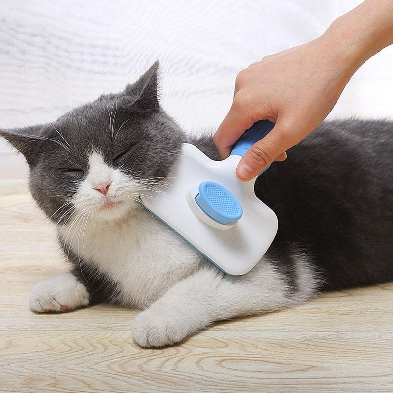 Sikat Pembersih Otomatis untuk - Hair Care Is Self Care ulasan dan harga